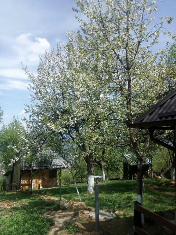 Bungalows Old Town Visoko Kültér fotó