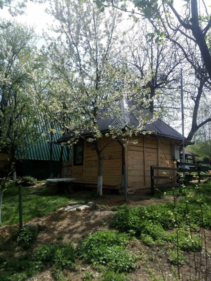 Bungalows Old Town Visoko Kültér fotó
